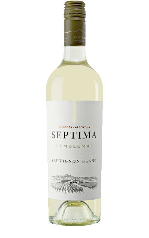 Bodega Septima Sauvignon Blanc Emblema Argentina Mendoza