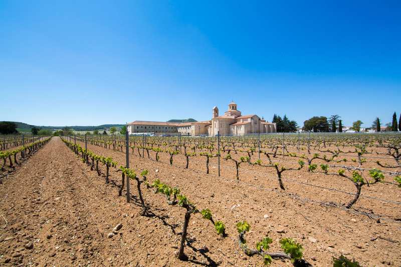 Bodegas Aalto Ribera del Duero Spain