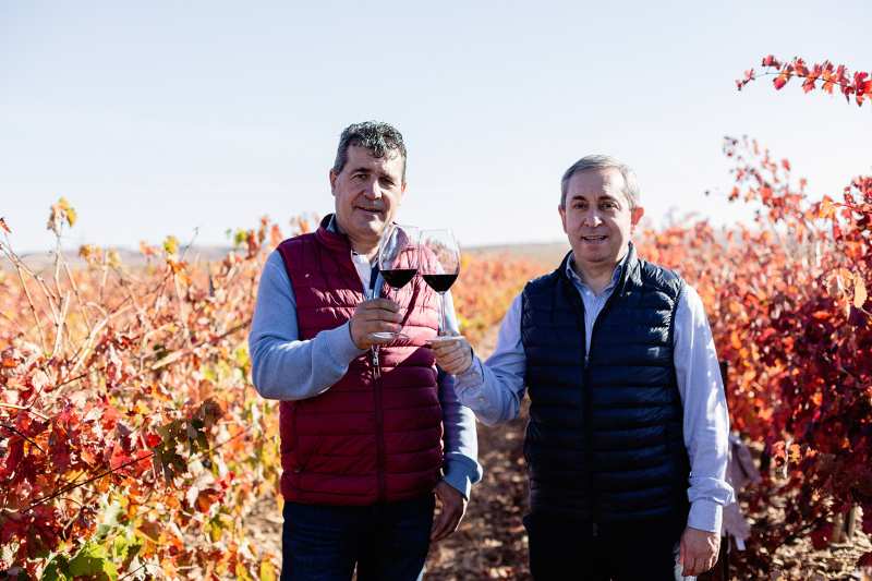 Carineña Spanje Bodegas Esteban Martin Zaragoza Viñedos y Bodegas