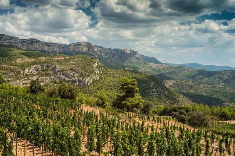 Cellers de Scala Dei Priorat Spain