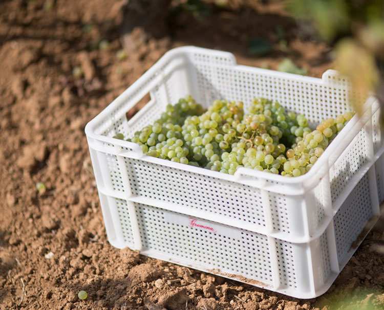 Corpinnat Gramona Catalunya Penedes Spain 