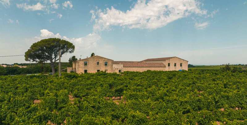 Costieres des Nimes Domaine la Bergerade France