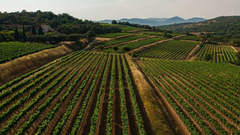 Famille Ravoire Provence Manon Rosé France