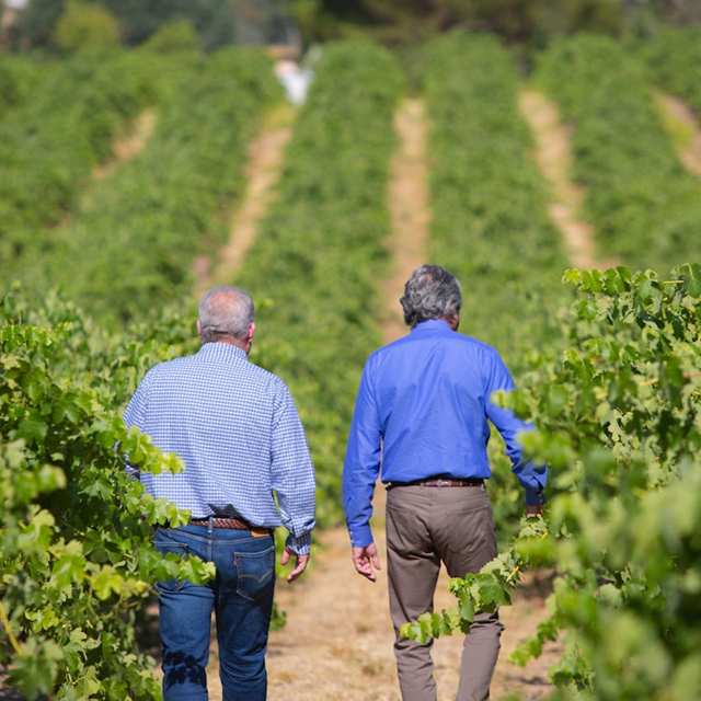 Firebrand Wines California United States of America