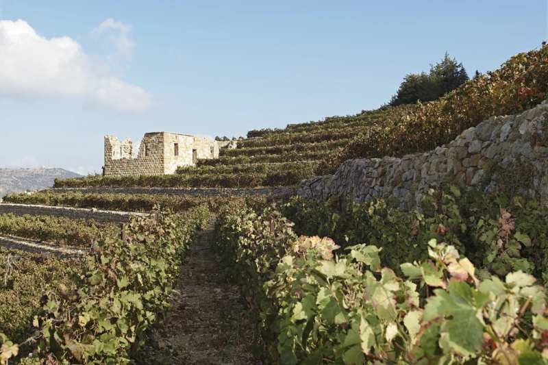 Ixsir Altitudes Wines Libanon