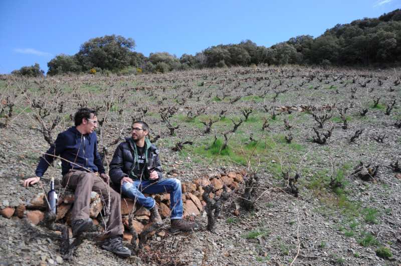 Priorat Vi de Vila Cims de Porrera Spain