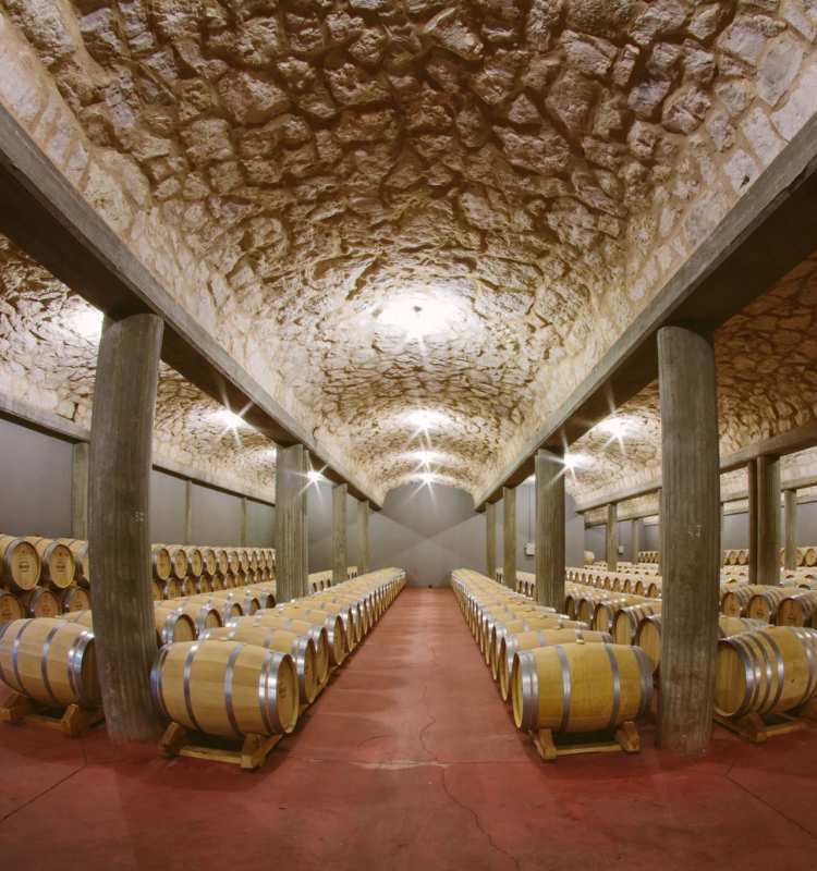 Ribera del Duero Bodegas Arzuaga Spain