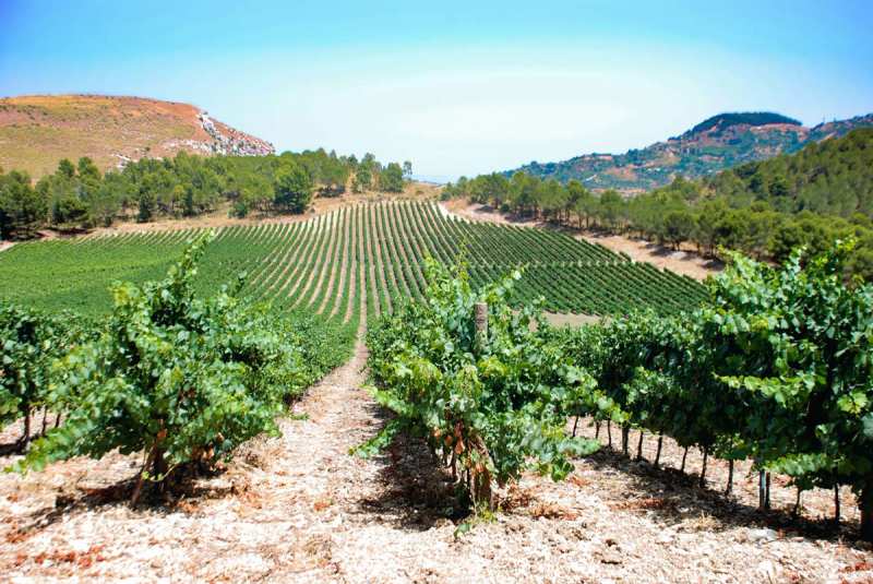 Sicily Italy Tenute Orestiadi Etna Rosso