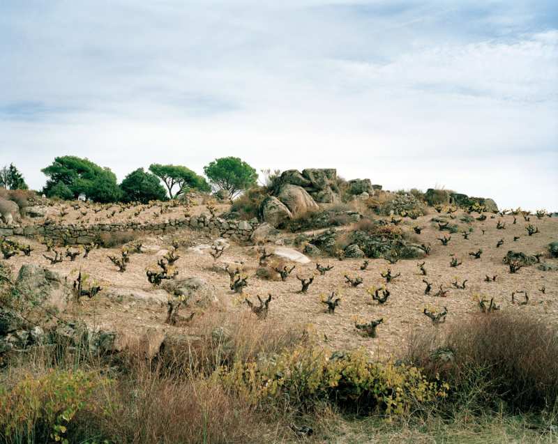 Spanje Telmo Rodriguez Rioja Valdeorras Alicante