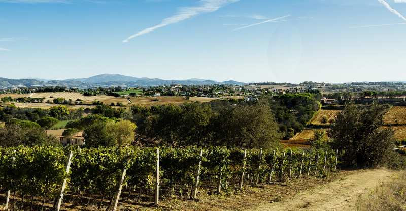 Umbria Cantina Goretti Italy Wines Montefalco Sagrantino Grechetto 