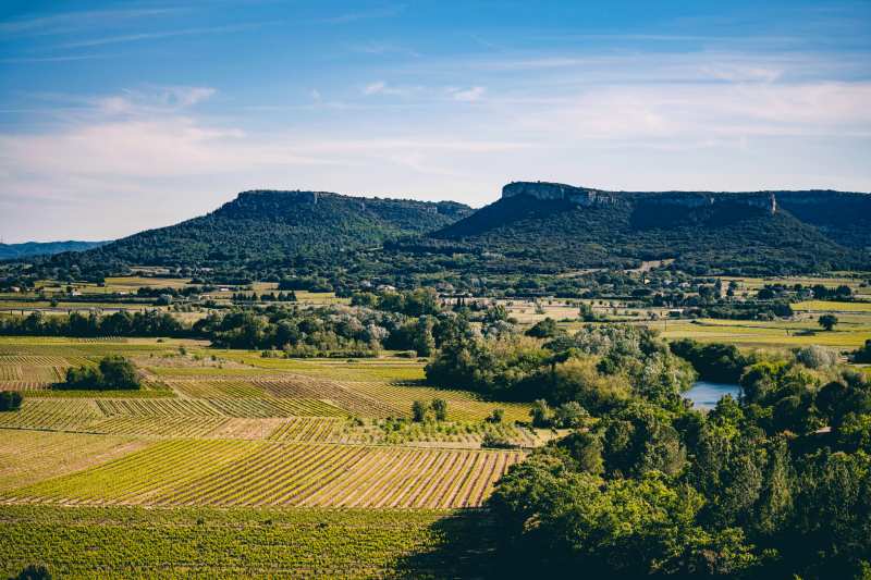 Vignerons Laudun Chusclan wijngaarden