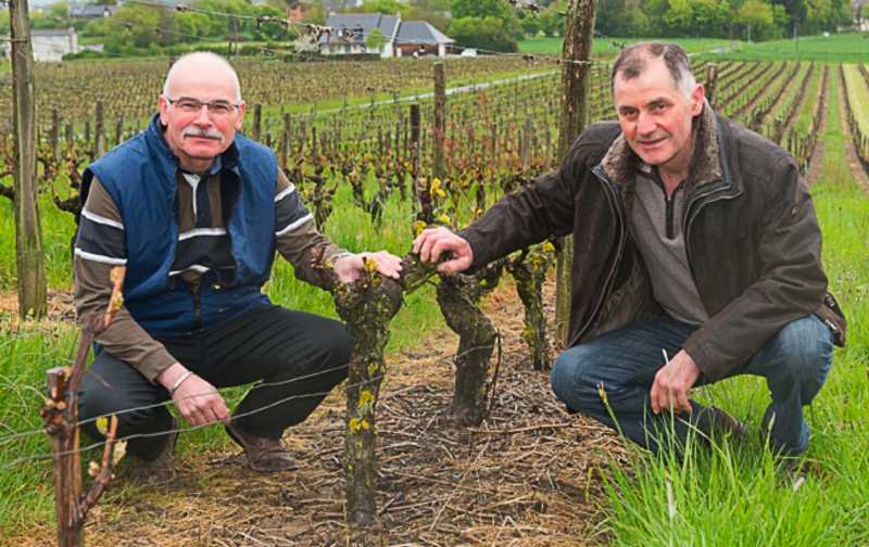 Vignoble Musset-Roullier eigenaren