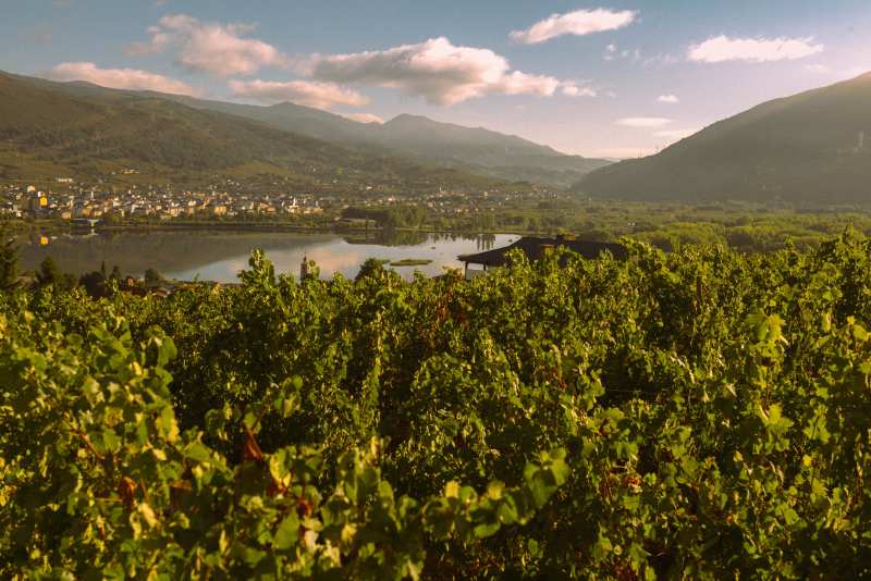 Vini Galicia Galicia Spain