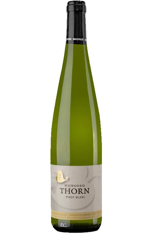 Wijngoed Thorn Pinot Blanc lekkere witte wijn uit Nederland
