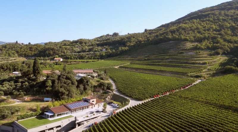Wines of Antiche Terre Venete Verona Garda Italy