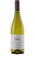 Zangre Blanc 2023