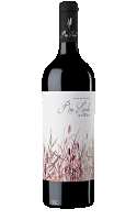 Rio Lindo Syrah 2024