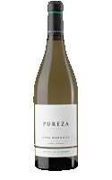 Pepe Mendoza Pureza Ánfora 2023