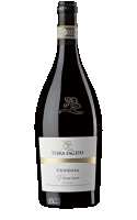 Terra Fageto Fenesia Pecorino 2022