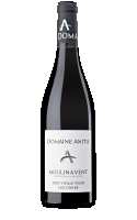 Domaine Anita Moulin-à-Vent Tres Vieille Vigne Les Caves 2024