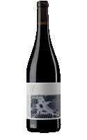 Château de Villeneuve Saumur Champigny Rouge 2023