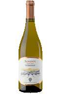Sovente Chardonnay 2023