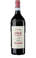 Volé Barbera Appassimento 2021