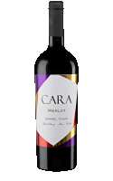 Cara Merlot 2022