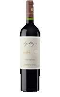 Apaltagua Envero Carmenère Gran Reserva 2020