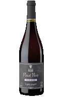 Maison Vialade Pinot Noir 2023