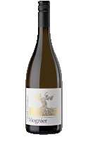 South Emotion Viognier 2023