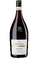 Terra Fageto Fenesia Pecorino 2022